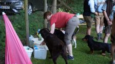 201907 - Hundekurs Abschluß